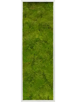 Aluminum 100% Flat moss