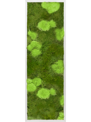 Aluminum 30% Ball- and 70% Flat moss