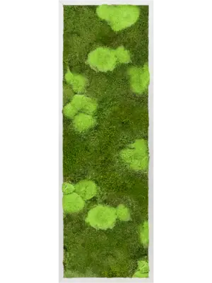 Aluminum 30% Ball- and 70% Flat moss