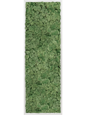 Aluminum 100% Reindeer moss (Moss green)