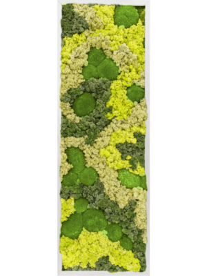 Aluminum 30% Ball moss 70% Reindeer moss (Mix)