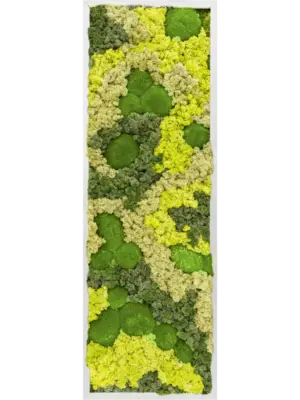 Aluminum 30% Ball moss 70% Reindeer moss (Mix)