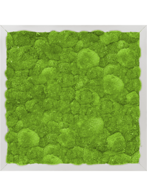 Aluminum 100% Ball moss