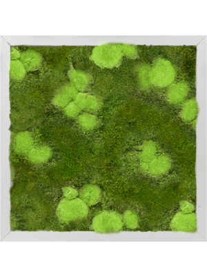 Aluminum 30% Ball- and 70% Flat moss