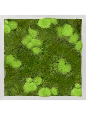 Aluminum 30% Ball- and 70% Flat moss