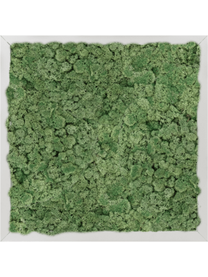 Aluminum 100% Reindeer moss (Moss green)