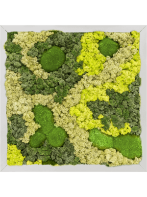 Aluminum 30% Ball moss 70% Reindeer moss (Mix)
