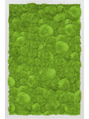 Aluminum 100% Ball moss