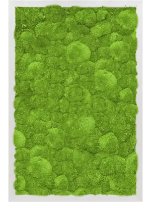 Aluminum 100% Ball moss