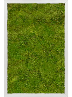 Aluminum 100% Flat moss