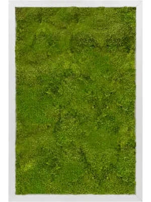 Aluminum 100% Flat moss