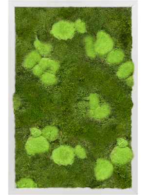 Aluminum 30% Ball- and 70% Flat moss