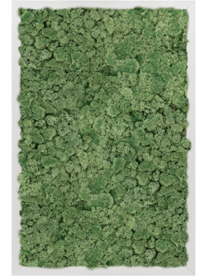 Aluminum 100% Reindeer moss (Moss green)
