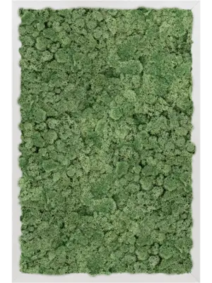 Aluminum 100% Reindeer moss (Moss green)