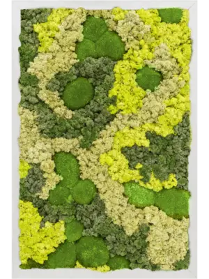 Aluminum 30% Ball moss 70% Reindeer moss (Mix)