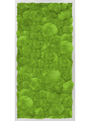 Aluminum 100% Ball moss
