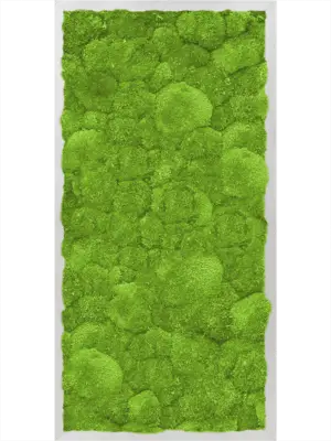 Aluminum 100% Ball moss