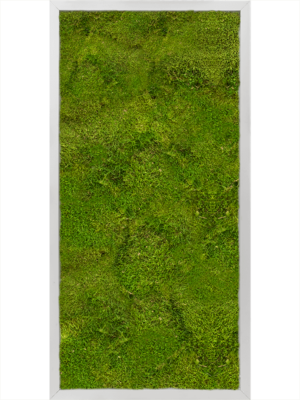 Aluminum 100% Flat moss