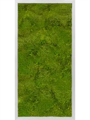 Aluminum 100% Flat moss
