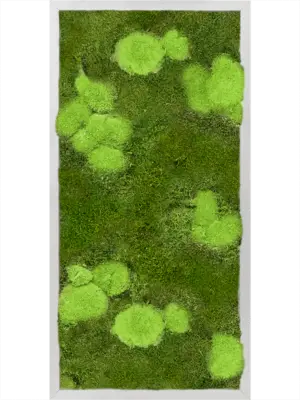 Aluminum 30% Ball- and 70% Flat moss