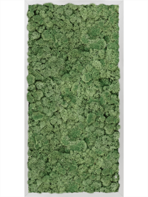 Aluminum 100% Reindeer moss (Moss green)