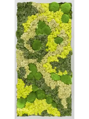 Aluminum 30% Ball moss 70% Reindeer moss (Mix)