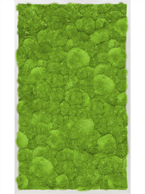 Aluminum 100% Ball moss