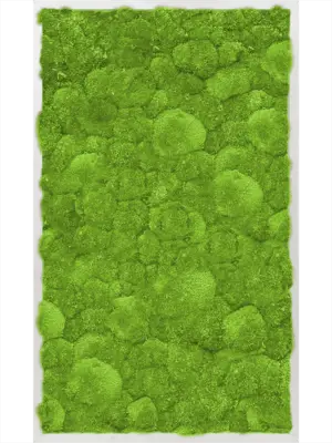 Aluminum 100% Ball moss