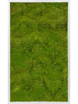 Aluminum 100% Flat moss