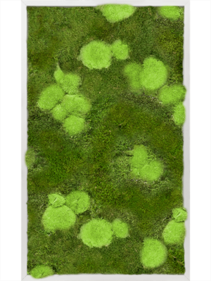 Aluminum 30% Ball- and 70% Flat moss