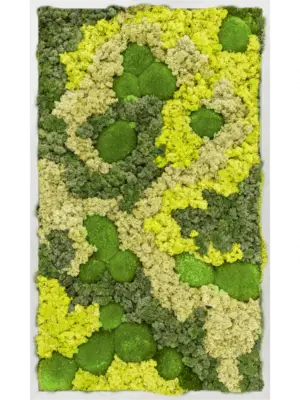 Aluminum 30% Ball moss 70% Reindeer moss (Mix)