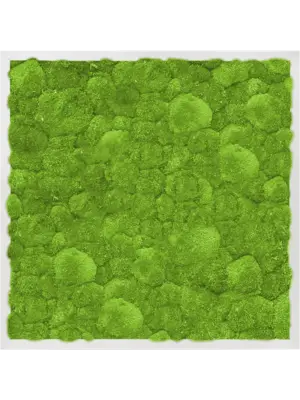 Aluminum 100% Ball moss