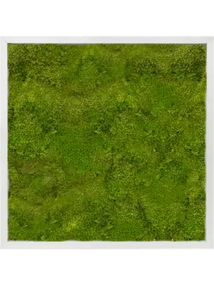 Aluminum 100% Flat moss