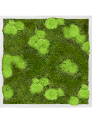 Aluminum 30% Ball- and 70% Flat moss