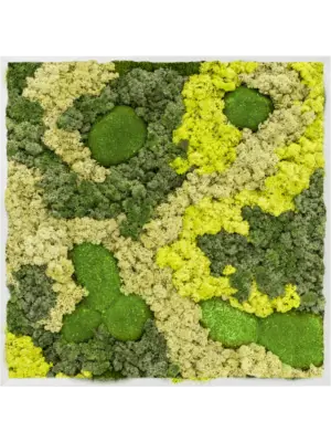 Aluminum 30% Ball moss 70% Reindeer moss (Mix)