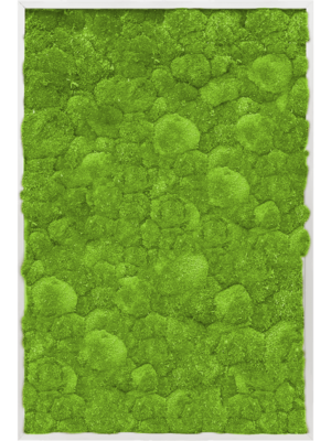 Aluminum 100% Ball moss