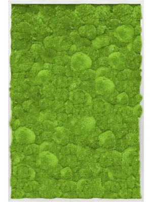 Aluminum 100% Ball moss