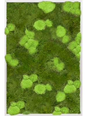 Aluminum 30% Ball- and 70% Flat moss