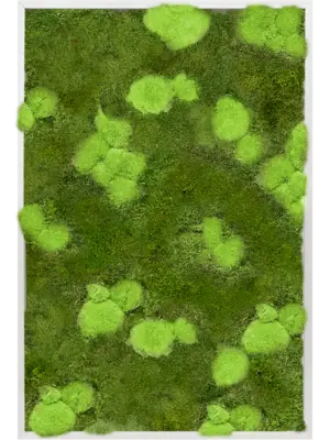 Aluminum 30% Ball- and 70% Flat moss