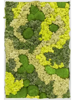 Aluminum 30% Ball moss 70% Reindeer moss (Mix)