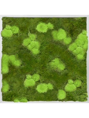 Aluminum 30% Ball- and 70% Flat moss