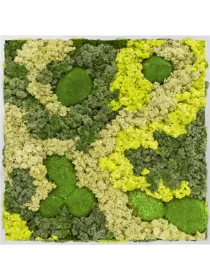 Aluminum 30% Ball moss 70% Reindeer moss (Mix)