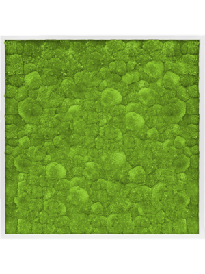 MDF RAL 9010 Satin Gloss 100% Ball Moss