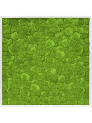 MDF RAL 9010 Satin Gloss 100% Ball Moss
