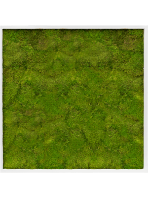 MDF RAL 9010 Satin Gloss 100% Flat Moss
