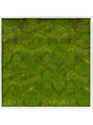 MDF RAL 9010 Satin Gloss 100% Flat Moss