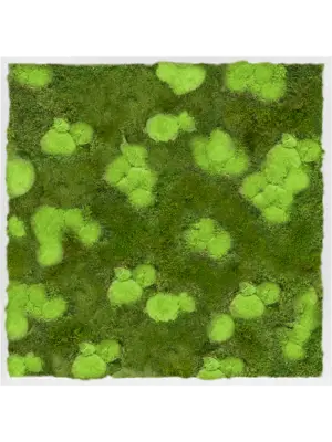 MDF RAL 9010 Satin Gloss 30% Ball- And 70% Flat Moss