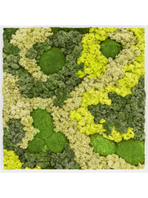 MDF RAL 9010 Satin Gloss 30% Ball moss 70% Reindeer moss (Mix)
