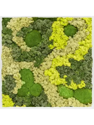 MDF RAL 9010 Satin Gloss 30% Ball moss 70% Reindeer moss (Mix)