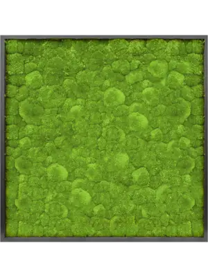 MDF RAL 9005 Satin Gloss 100% Ball moss